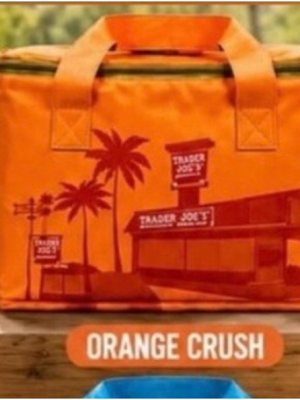 Trader Joe's Orange Crush Insulated Tote Bag